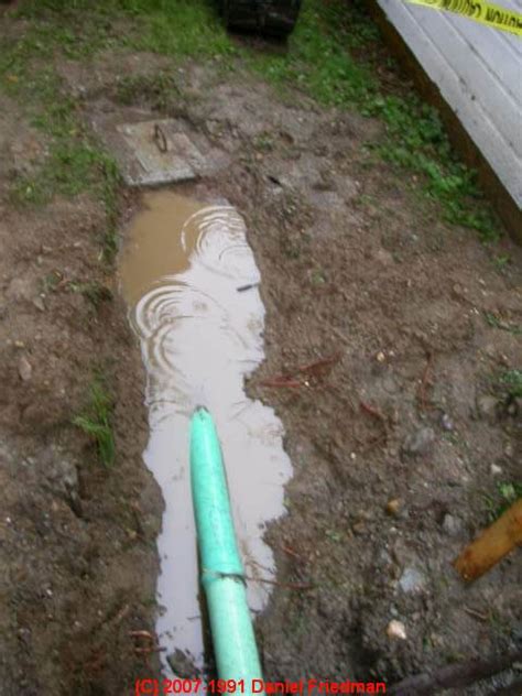 septic tank leaking into yard|Diagnosing the Cause of a Septic Tank Leak